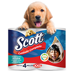 promo papel scott colombia promo scott colombia